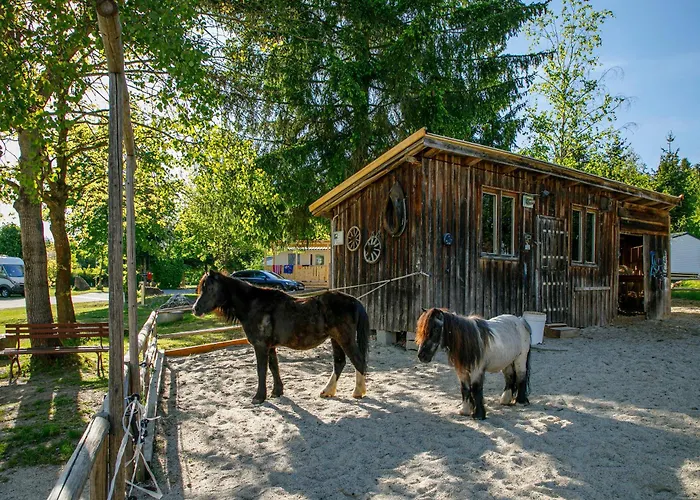 Knaus Campingpark * Viechtach